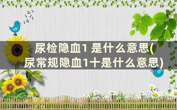 尿检隐血1 是什么意思(尿常规隐血1十是什么意思)